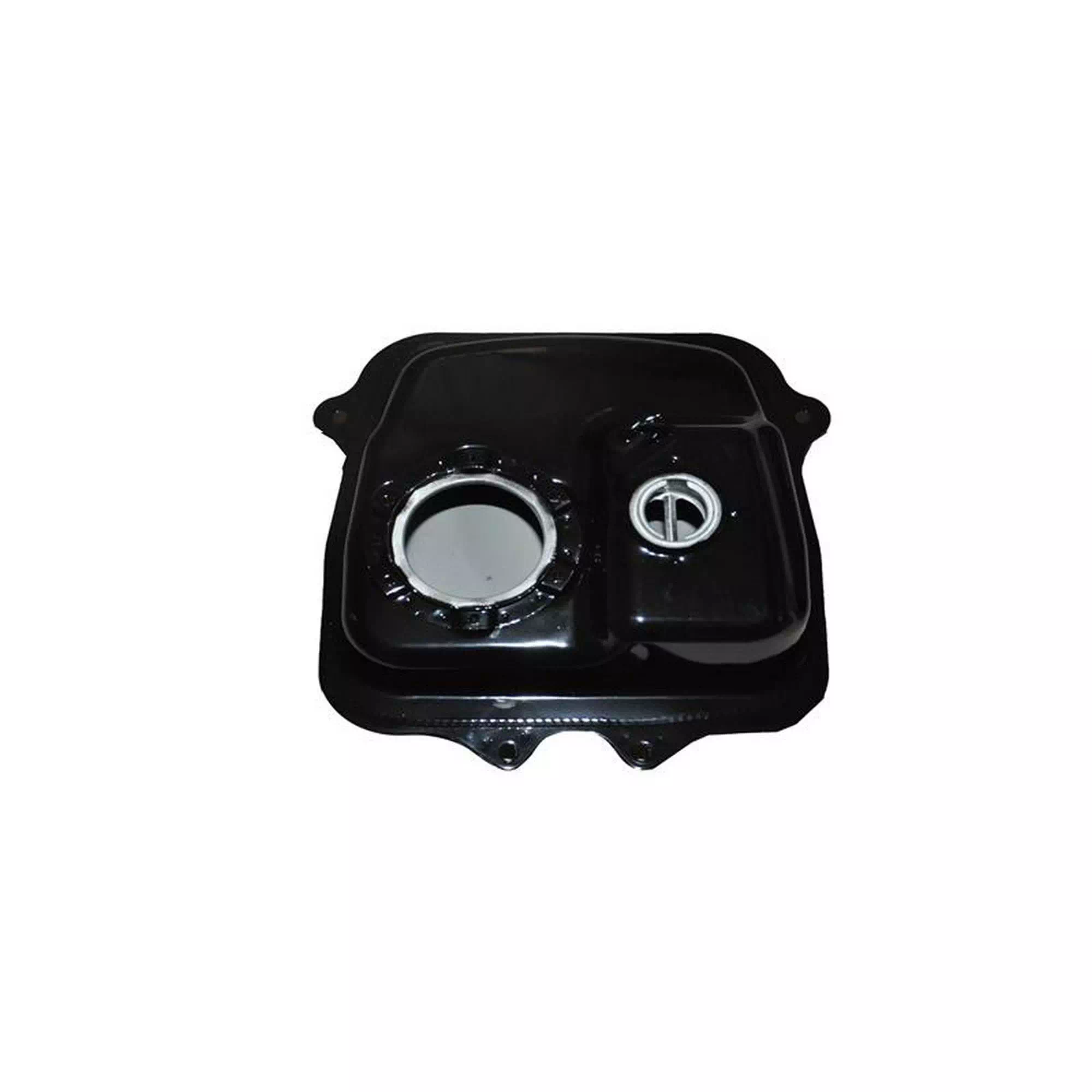 SKYJET BAYBERRY 125 BENZİN DEPOSU [RAVIDA MAX] #SJ 0084